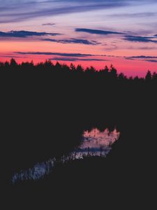 Превью обои деревья, ночь, горизонт, вода, трава