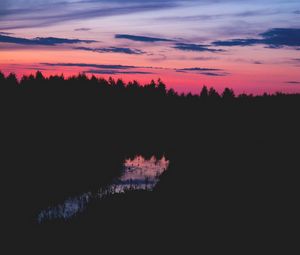 Превью обои деревья, ночь, горизонт, вода, трава