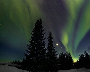 Превью обои деревья, ночь, северное сияние, зима