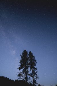 Превью обои деревья, ночь, звездное небо, звезды