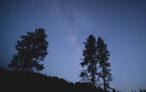 Превью обои деревья, ночь, звездное небо, звезды