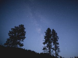 Превью обои деревья, ночь, звездное небо, звезды