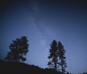 Превью обои деревья, ночь, звездное небо, звезды