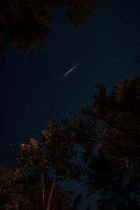 Превью обои деревья, ночь, звездное небо, темный, звезды