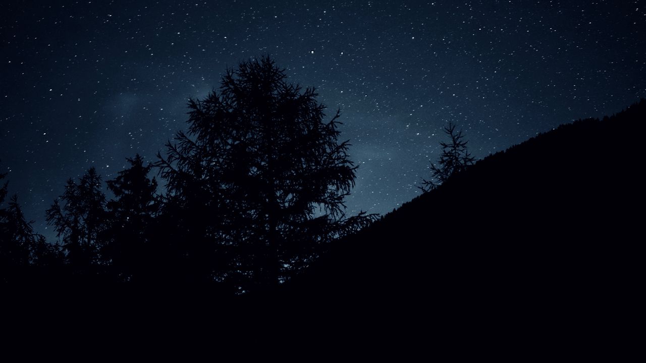 Обои деревья, ночь, звезды, небо, темно