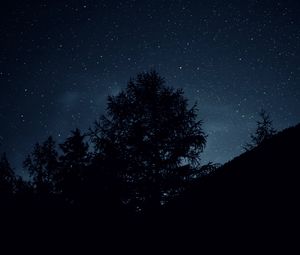 Превью обои деревья, ночь, звезды, небо, темно