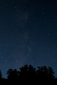 Превью обои деревья, ночь, звезды, звездное небо