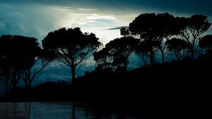 Превью обои деревья, облака, ночь, отражение, пейзаж