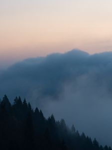 Превью обои деревья, облака, сумерки, природа