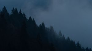 Превью обои деревья, облака, сумерки, природа