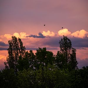 Превью обои деревья, облака, сумерки, пейзаж