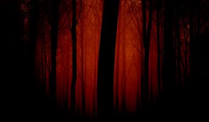 Превью обои деревья, очертания, вечер, красный, туман, свет