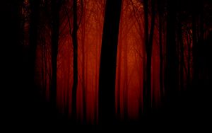 Превью обои деревья, очертания, вечер, красный, туман, свет