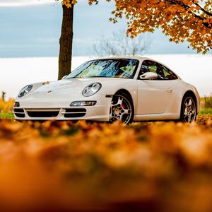 Превью обои деревья, осень, 911, белый, порше, небо, porsche, листья