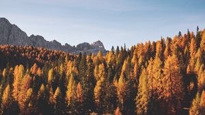 Превью обои деревья, осень, горы
