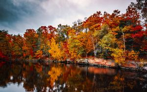 Превью обои деревья, осень, озеро, отражение, краски осени