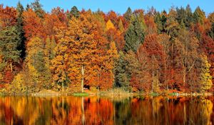 Превью обои деревья, осень, река, отражение