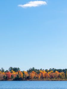Превью обои деревья, осень, река, небо