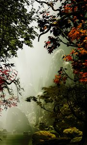 Превью обои деревья, осень, туман, арт, скалы