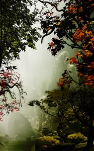 Превью обои деревья, осень, туман, арт, скалы