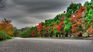 Превью обои деревья, осень, зеленый, красный, чередование, дорога