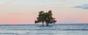 Превью обои деревья, остров, море, вода, пейзаж