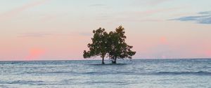 Превью обои деревья, остров, море, вода, пейзаж