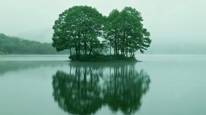 Превью обои деревья, островок, озеро, туман, вода, утро, лето