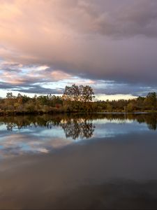 Превью обои деревья, отражение, озеро, природа, пейзаж