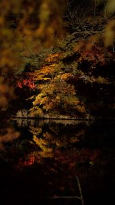Превью обои деревья, отражение, озеро, осень, темный, природа