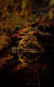 Превью обои деревья, отражение, озеро, осень, темный, природа