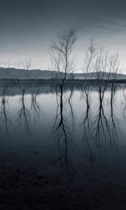 Превью обои деревья, отражение, пруд, темный