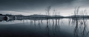 Превью обои деревья, отражение, пруд, темный