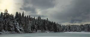 Превью обои деревья, озеро, лед, снег, зима