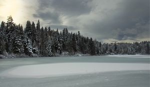 Превью обои деревья, озеро, лед, снег, зима