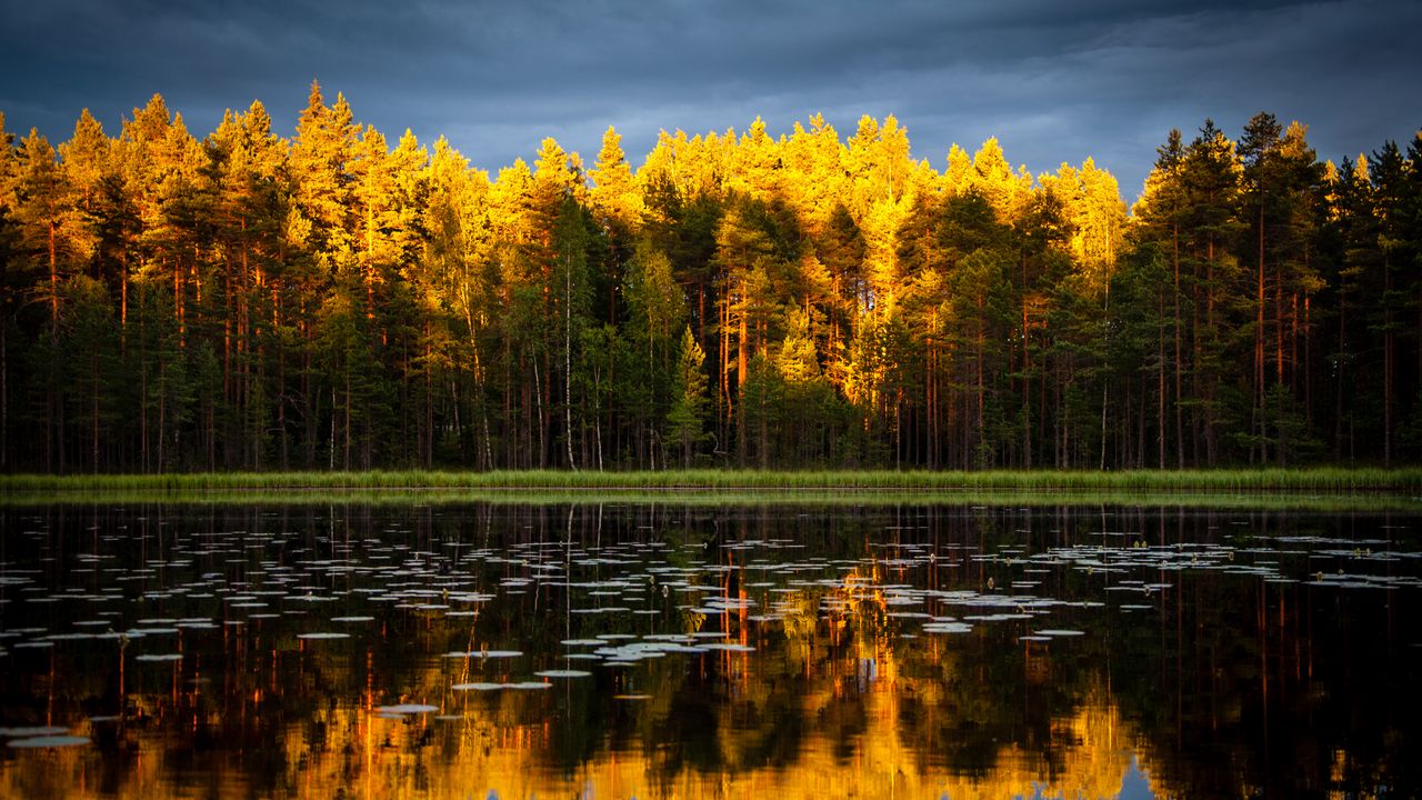 Обои деревья, озеро, осень, отражения