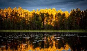Превью обои деревья, озеро, осень, отражения