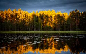 Превью обои деревья, озеро, осень, отражения