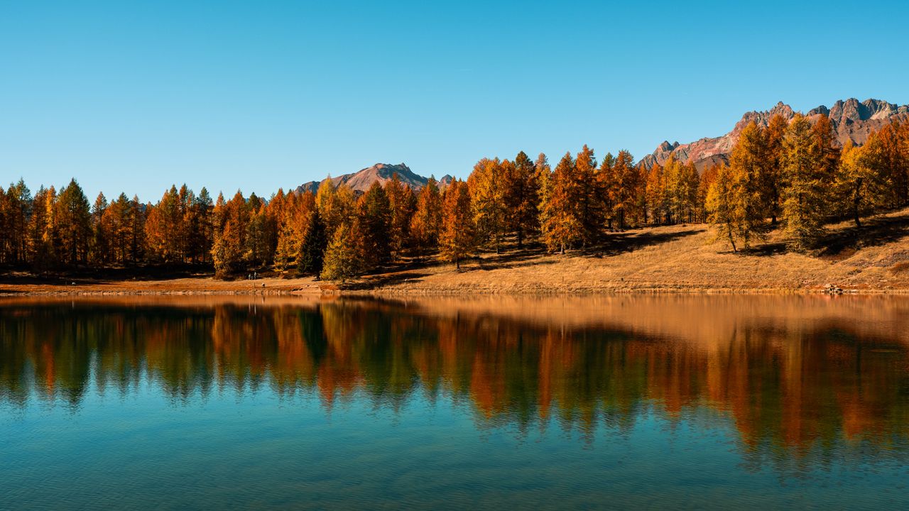 Обои деревья, озеро, осень, отражение