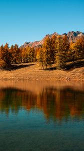 Превью обои деревья, озеро, осень, отражение