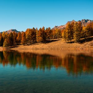 Превью обои деревья, озеро, осень, отражение