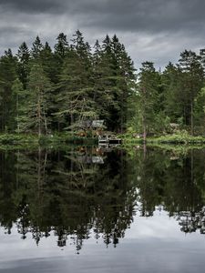Превью обои деревья, озеро, отражение