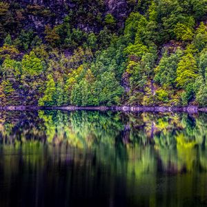 Превью обои деревья, озеро, отражение, лес