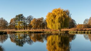 Превью обои деревья, озеро, отражение, вода, природа