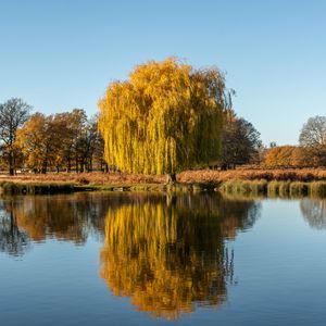 Превью обои деревья, озеро, отражение, вода, природа