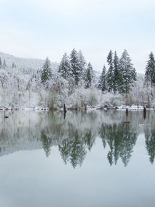 Превью обои деревья, озеро, отражение, зима, пейзаж, природа