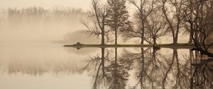 Превью обои деревья, озеро, отражение, туман