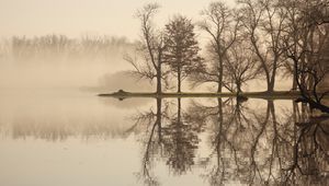 Превью обои деревья, озеро, отражение, туман