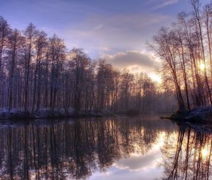 Превью обои деревья, озеро, отражение, утро, солнце