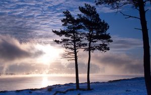 Превью обои деревья, озеро, снег, свет, облака, пар, зима